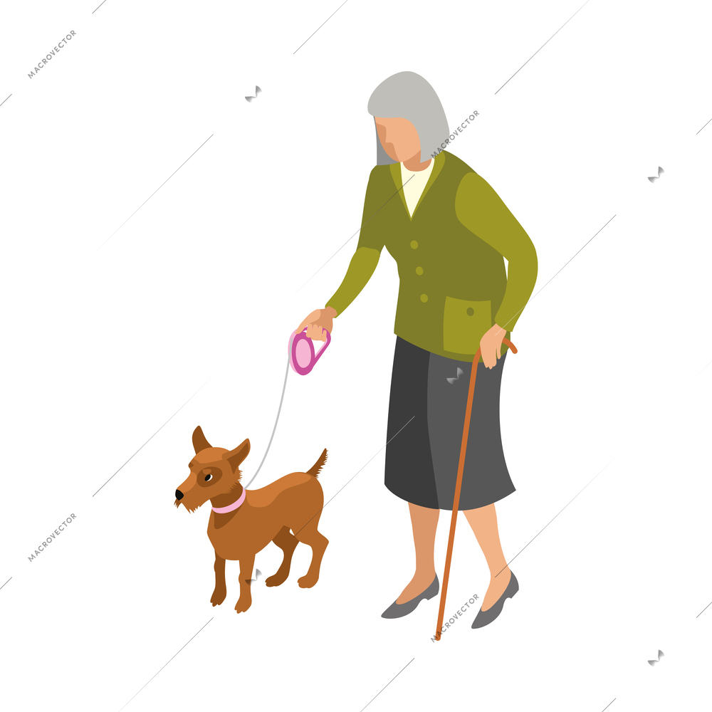 Elderly woman walking with little dog isometric icon vector illustration