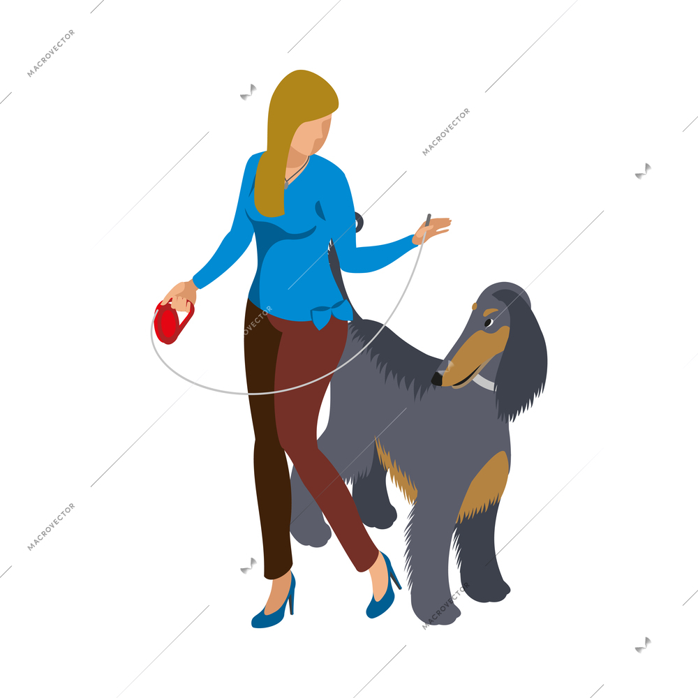 Woman walking with her greyhound dog on leash isometric icon vector illustration