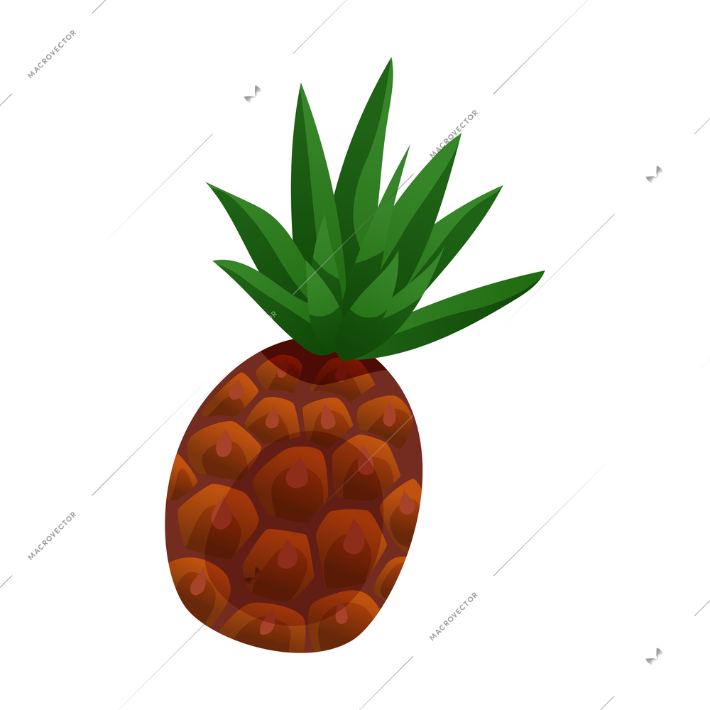 Flat pineapple icon on white background vector illustration