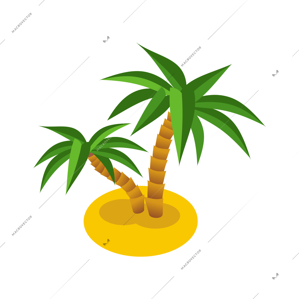 Green palms on sandy beach isometric icon vector illustration