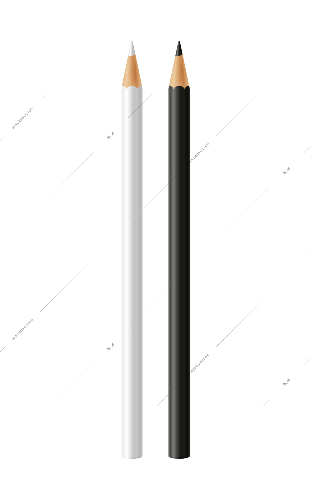 White and black pencils realistic isolated vector illustration