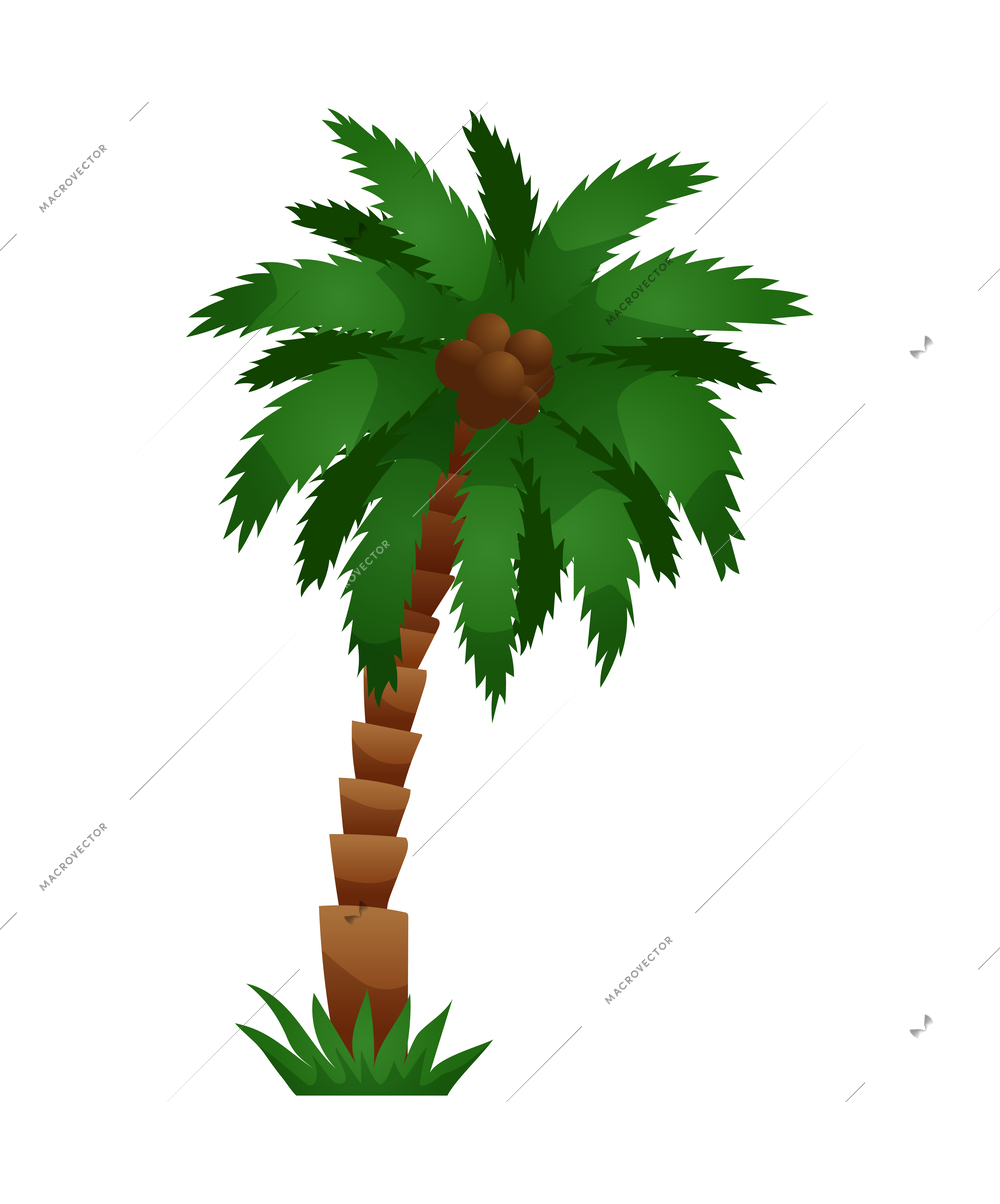 Coconut palm in flat style vector illustration