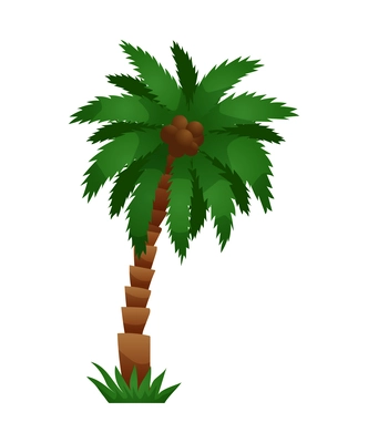 Coconut palm in flat style vector illustration