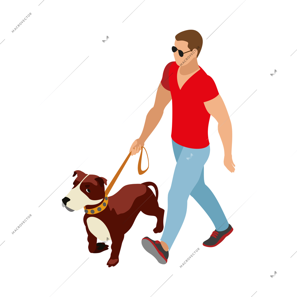 Man walking with his dog on leash isometric icon vector illustration