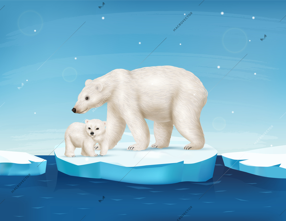 Realistic polar bear with cute cub on ice floe vector illustration