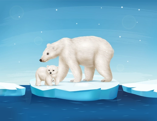 Realistic polar bear with cute cub on ice floe vector illustration