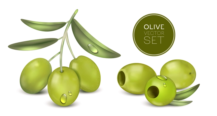 Realistic olive set with green berries leaves with water drops and shadows with editable text circle vector illustration