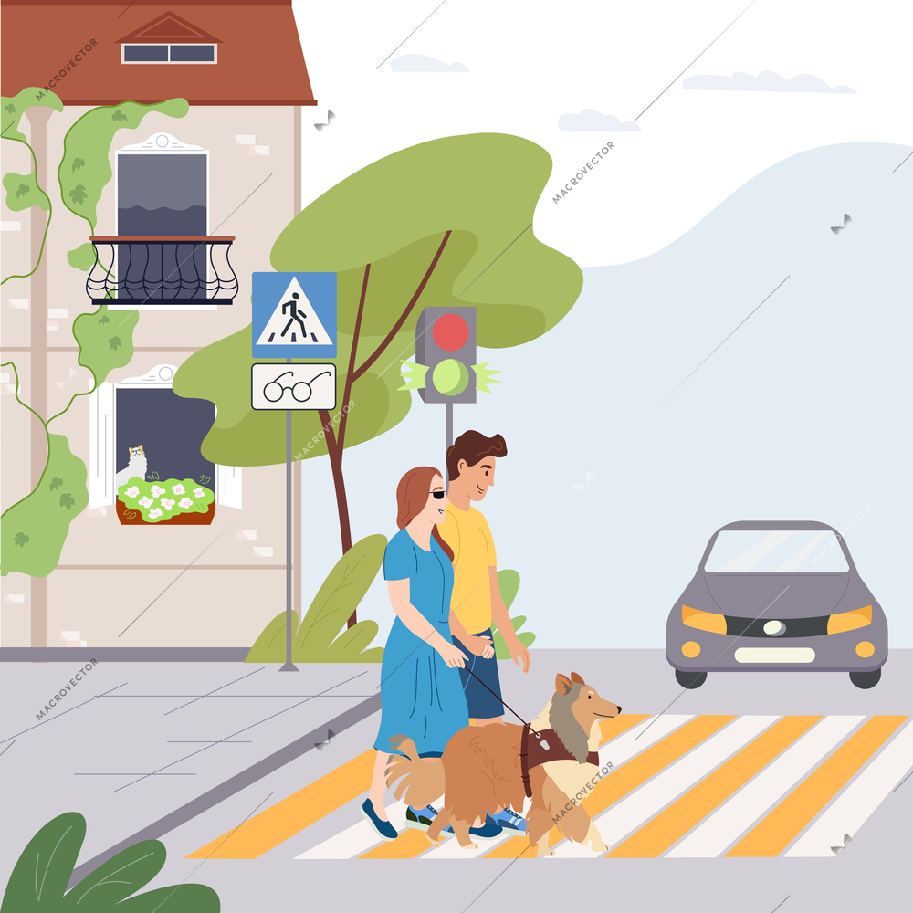 Accessible environment background with street and road symbols flat vector illustration