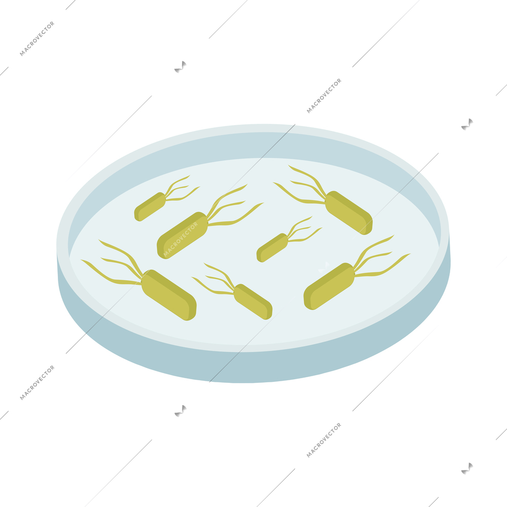 Probiotics isometric icon with probiotic bacteria on microscope glass vector illustration