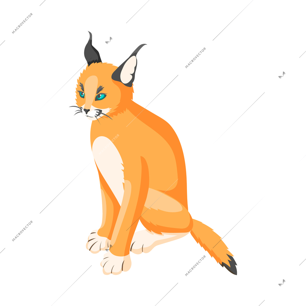 Lynx sitting on white background isometric isolated vector illustration