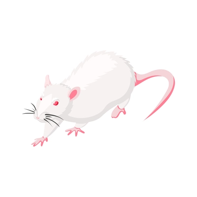 White rat isolated isometric vector illustration