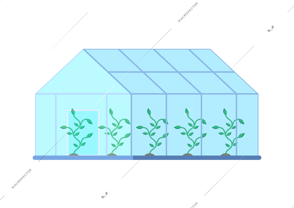 Flat glass greenhouse building with green plants vector illustration