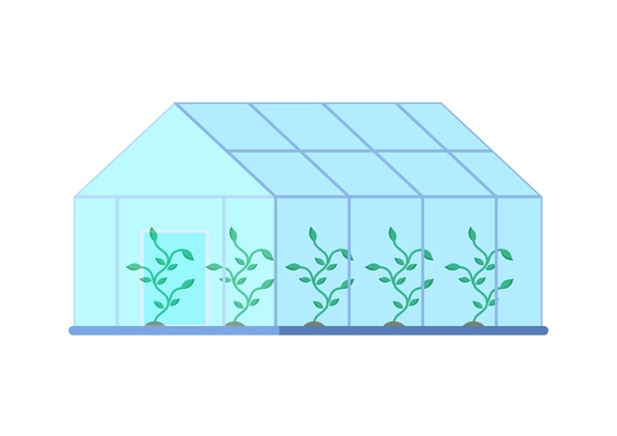 Flat glass greenhouse building with green plants vector illustration