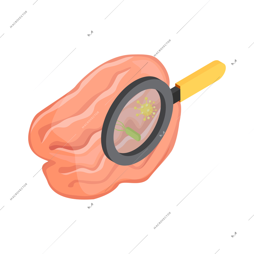 Probiotics isometric icon with bacteria being viewed through magnifier 3d vector illustration