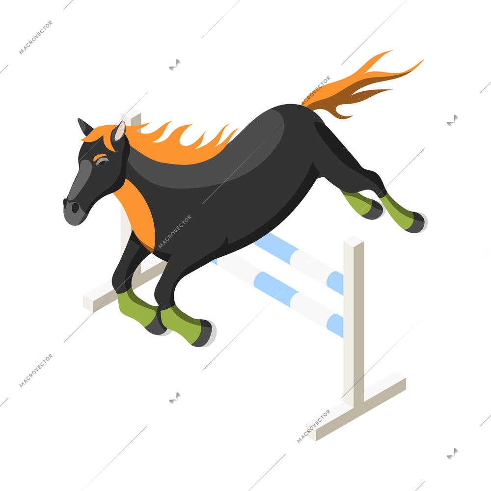 Horse jumping over hurdle isometric icon vector illustration