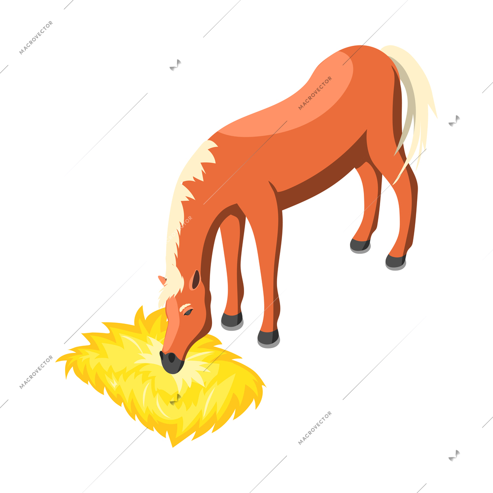Isometric brown horse eating hay on white background vector illustration