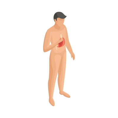 Man anatomical silhouette with highlighted stomach isometric icon 3d vector illustration