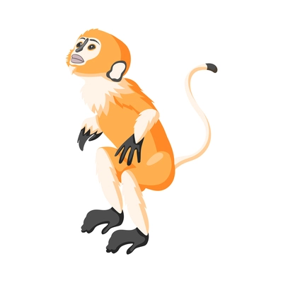 Cute monkey on white background isolated isometric vector illustration