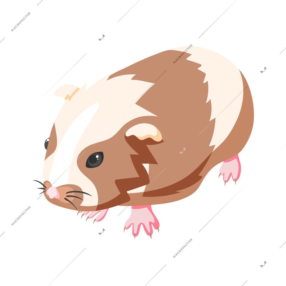 Brown hamster isolated on white background 3d isometric vector illustration