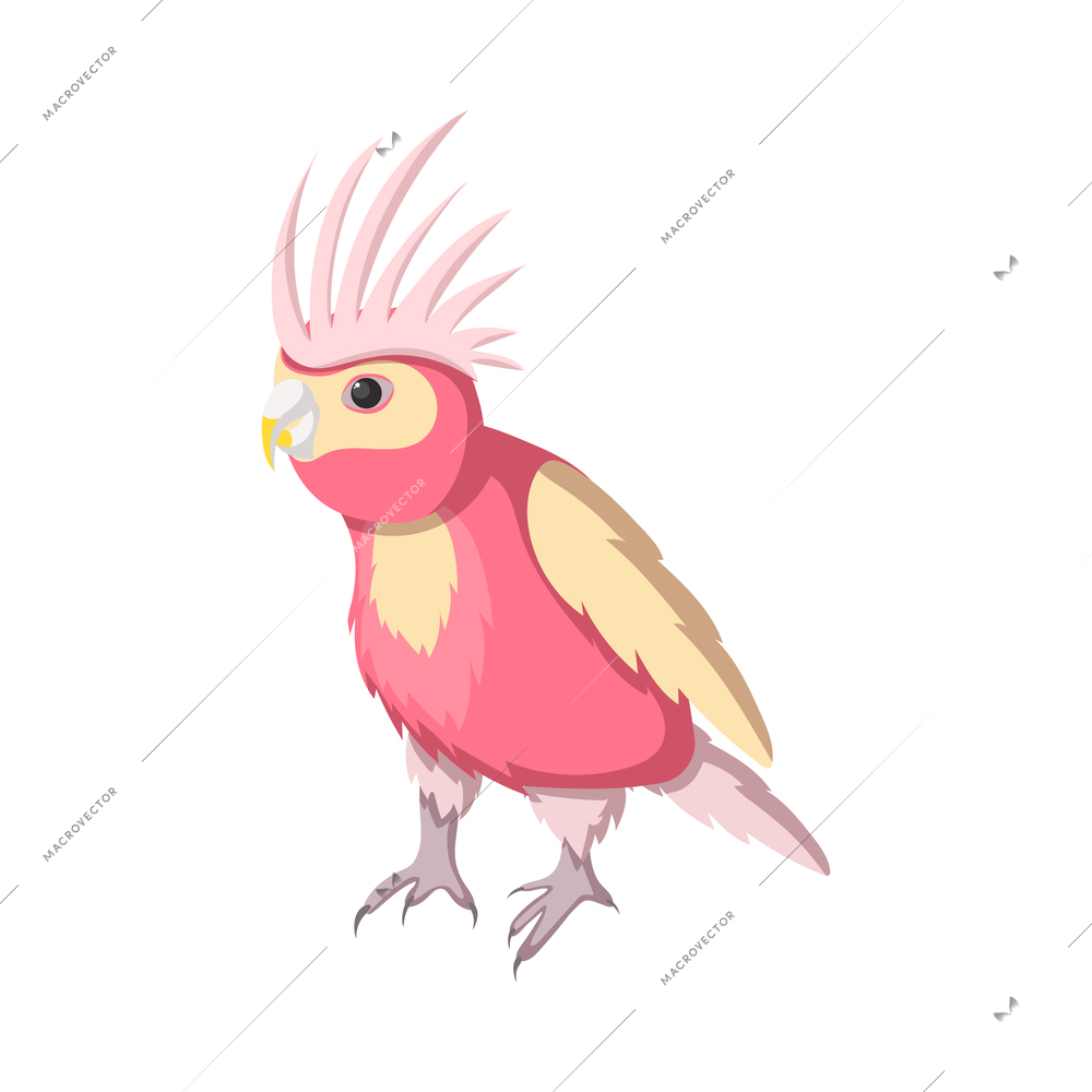 Cute pink and yellow parrot isometric vector illustration