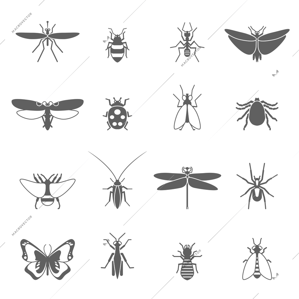Insects black icons set with bee bug fly butterfly isolated vector illustration