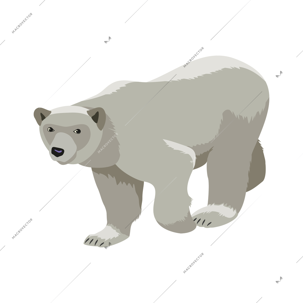 Arctic research isometric composition with isolated image of northern animal on blank background vector illustration