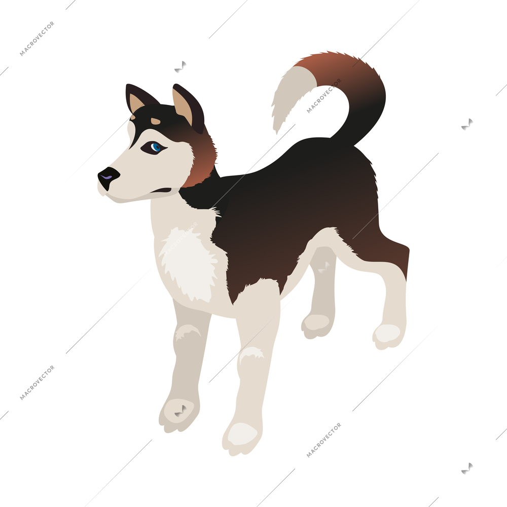 Arctic research isometric composition with isolated image of northern animal on blank background vector illustration