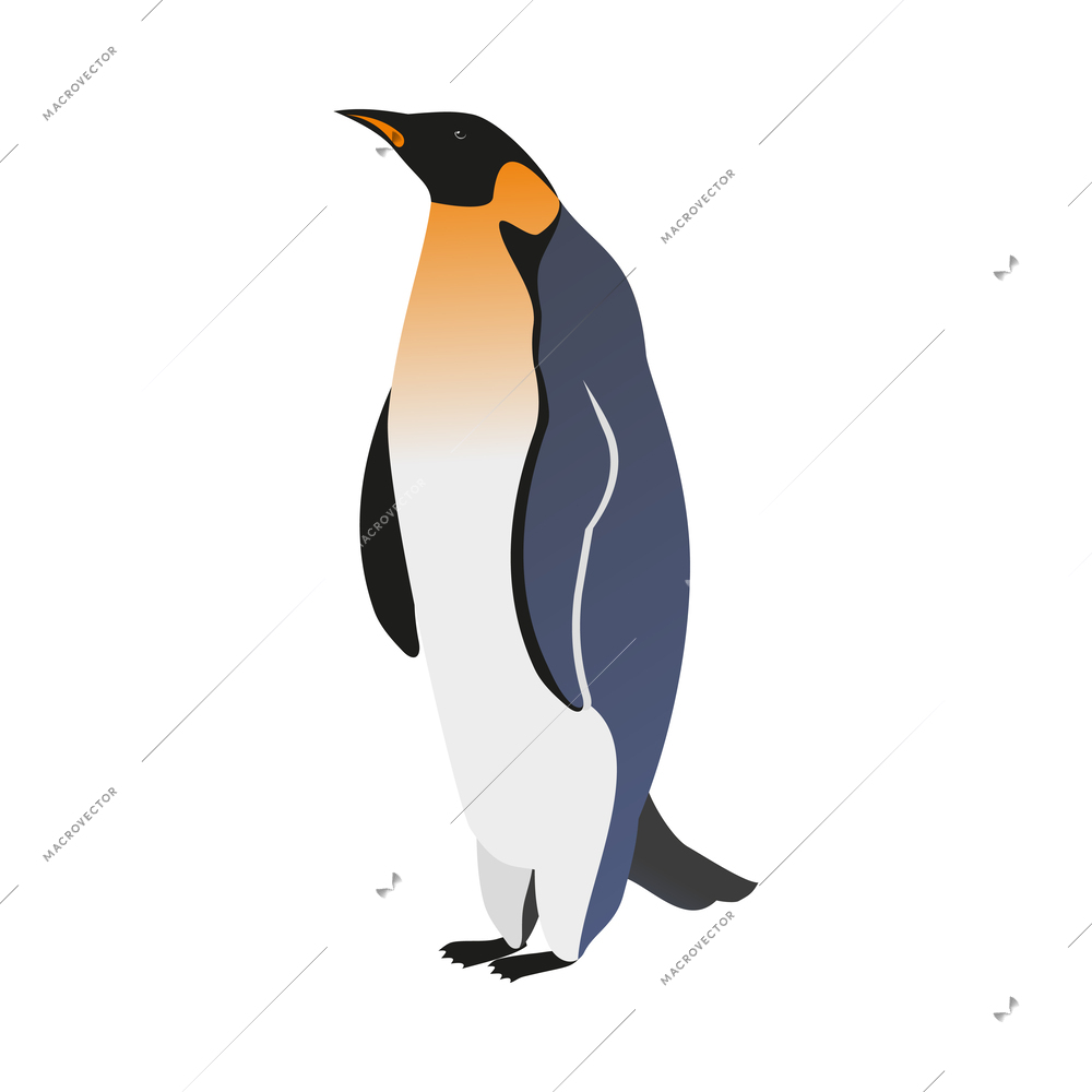 Arctic research isometric composition with isolated image of northern animal on blank background vector illustration