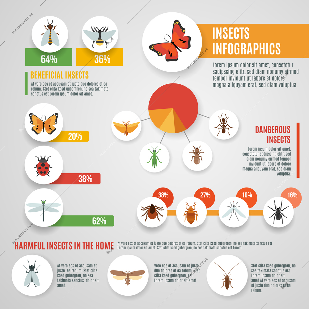 Insects infographic set with wild pests symbols and charts vector illustration