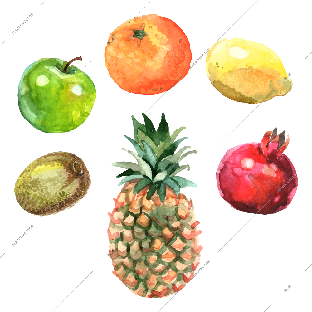 Watercolor fruits set with pineapple kiwi apple orange lemon and pomegranate isolated vector illustration