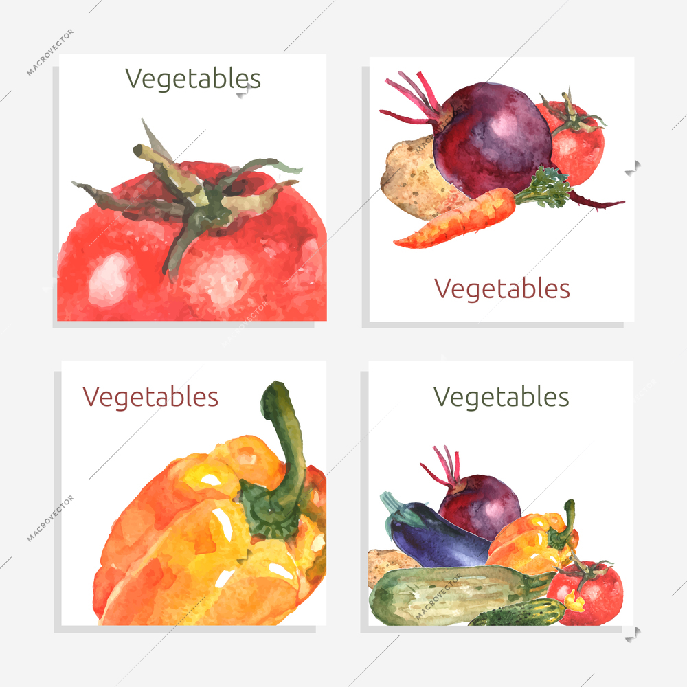 Vegetable card set with watercolor tomato bell pepper cucumber isolated vector illustration