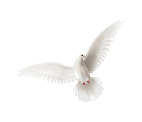 Dove white pigeon realistic composition with isolated image of flying bird on blank background vector illustration