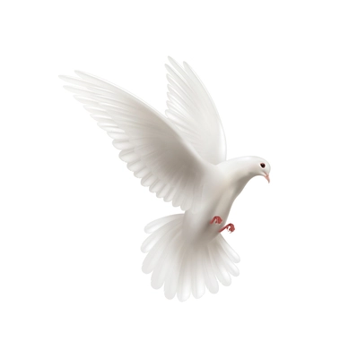 Dove white pigeon realistic composition with isolated image of flying bird on blank background vector illustration