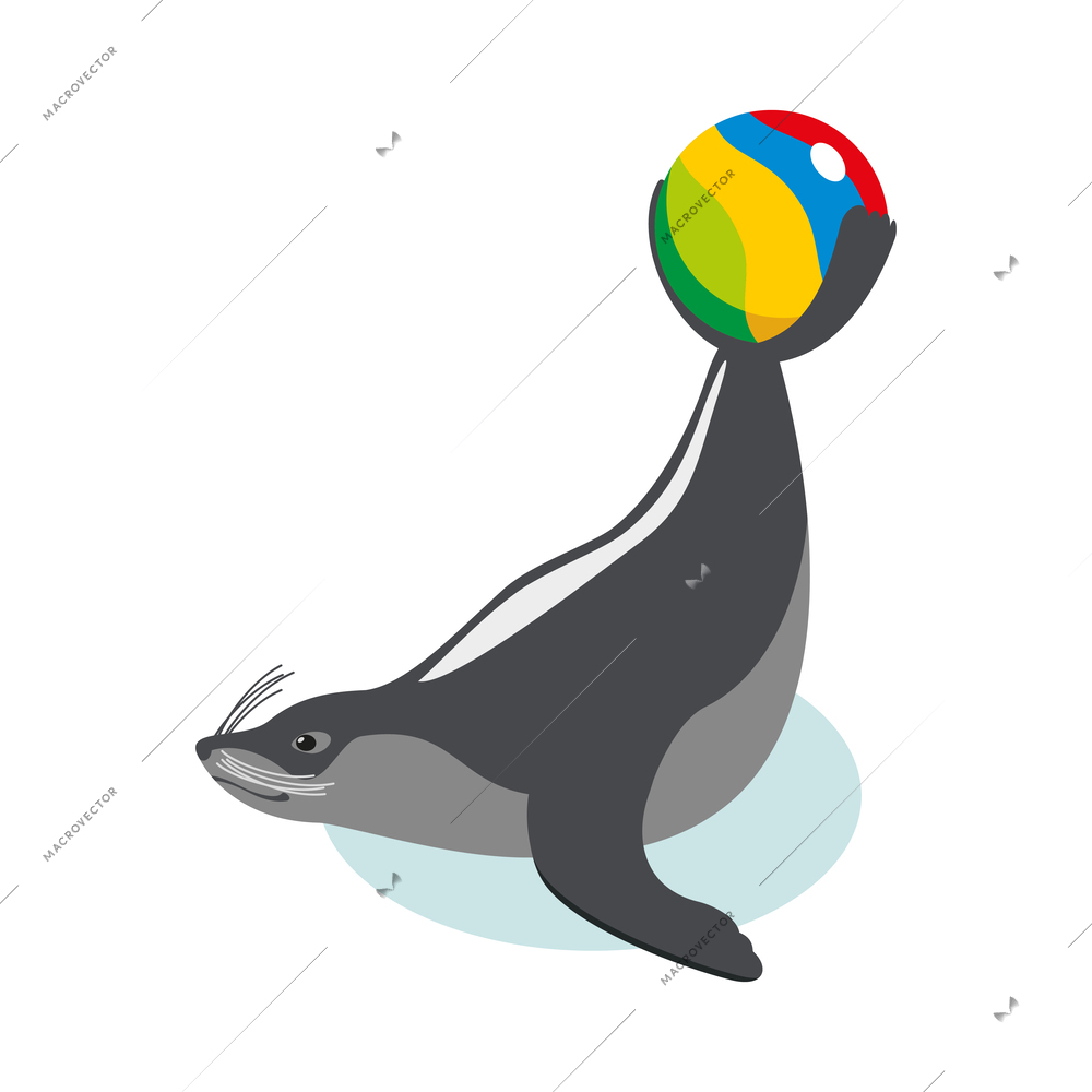 Sea circus isometric composition with isolated icon of marine animal performing trick in water vector illustration