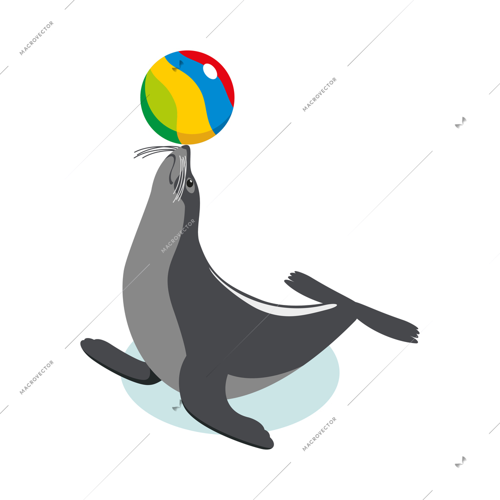 Sea circus isometric composition with isolated icon of marine animal performing trick in water vector illustration