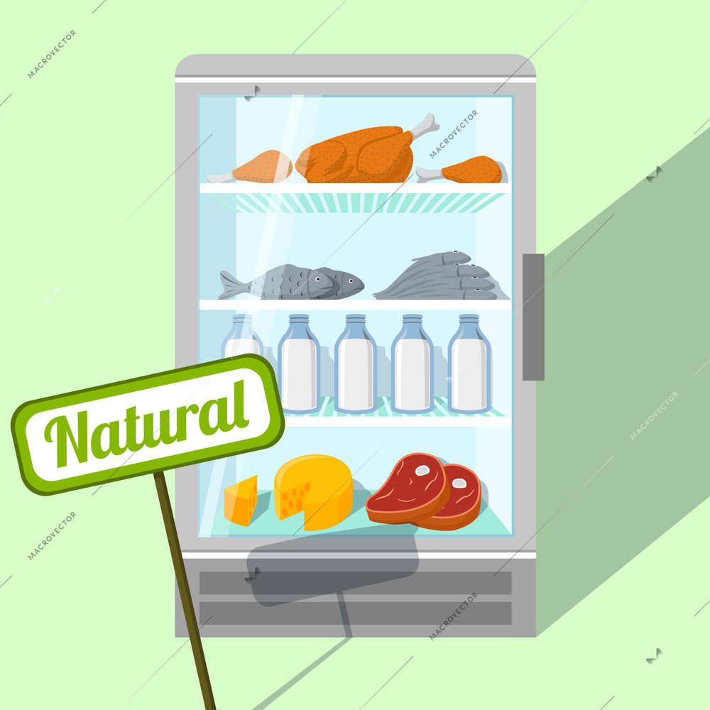 Natural foods of chicken fish meat and dairy products in refrigerator vector illustration