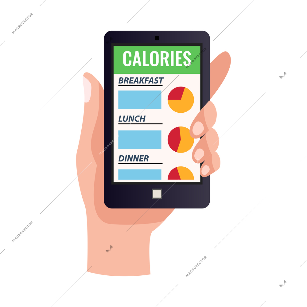 Diet composition with isolated icons of basic nutrition good health and losing weight vector illustration