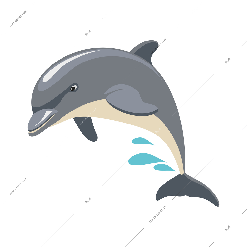 Sea circus isometric composition with isolated icon of marine animal performing trick in water vector illustration