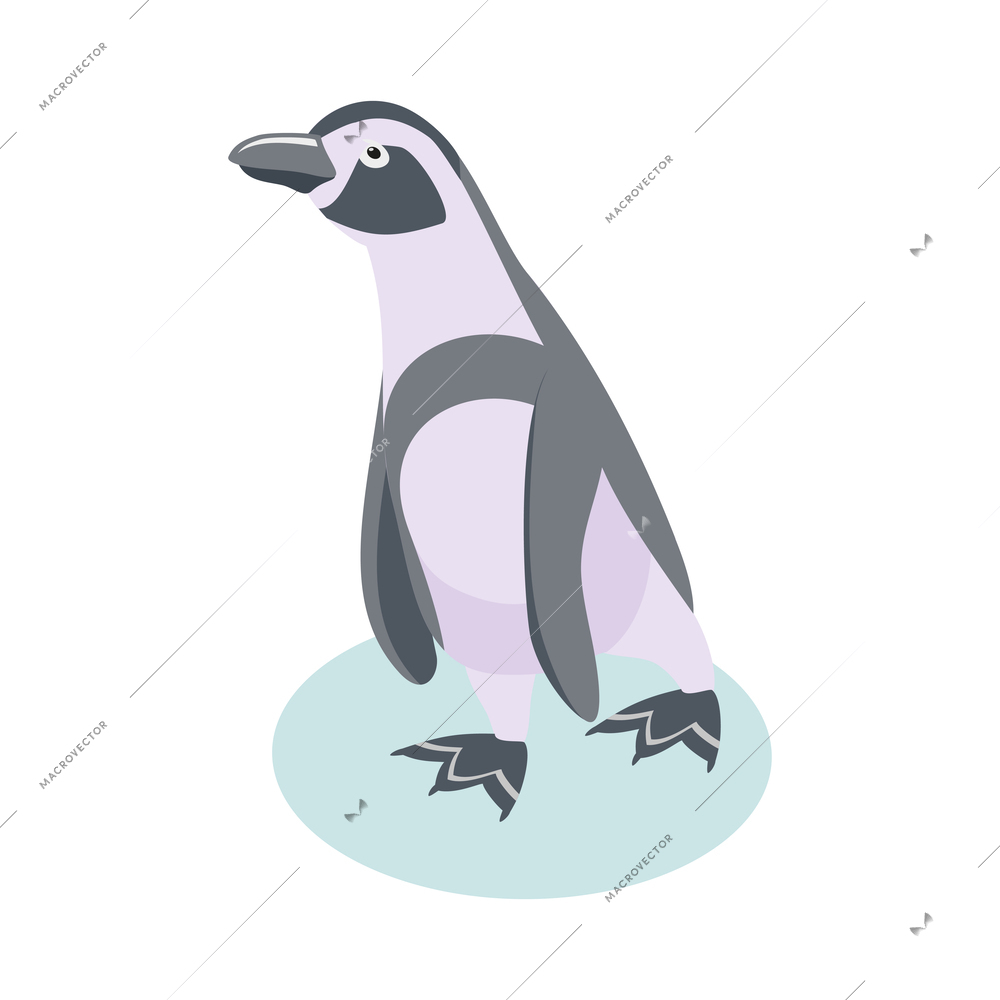 Sea circus isometric composition with isolated icon of marine animal performing trick in water vector illustration