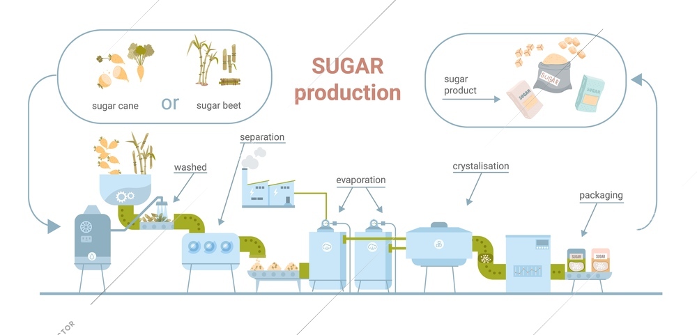 Sugar production flat infographic composition with view of factory line with text captions arrows and supplies vector illustration