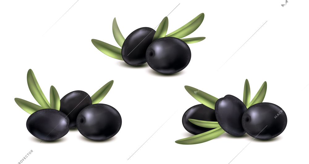 Realistic set of compositions with black olive berries with ripe leaves and shadows on blank background vector illustration