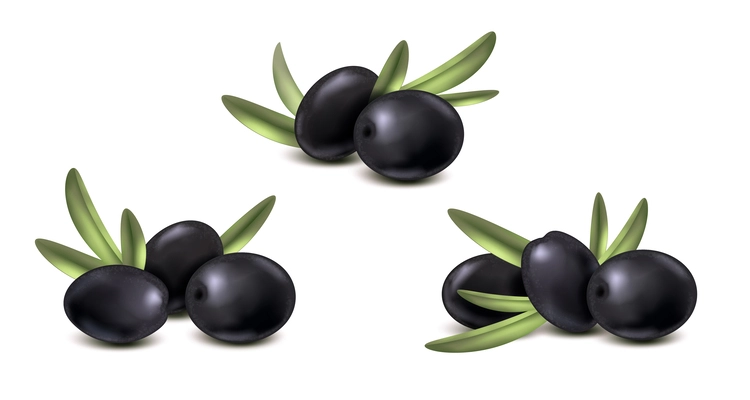 Realistic set of compositions with black olive berries with ripe leaves and shadows on blank background vector illustration