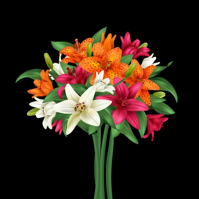 Realistic multicolored lily flowers bouquet on dark background vector illustration