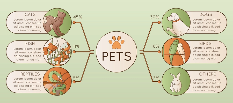 Pets flat horizontal infographic with information about cats dogs reptiles birds fish and other animals vector illustration