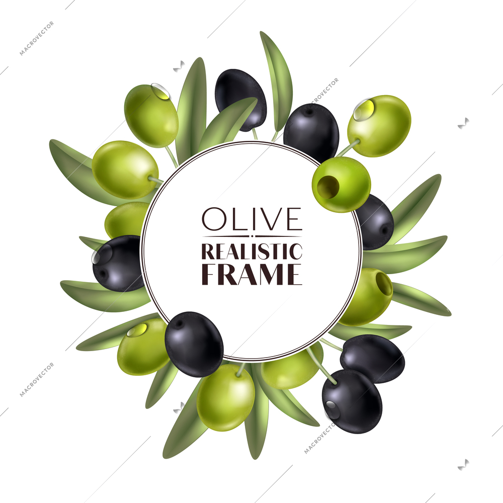 Realistic olive frame composition with circle surrounded by green leaves and black berries with ornate text vector illustration