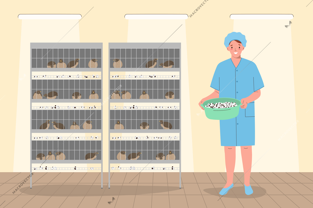 Eggs production poultry factory interior with quails in cages and female worker flat vector illustration