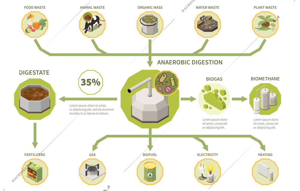 Biogas electricity production process isometric infographics with types of organic waste anaerobic digestion digestate 3d vector illustration