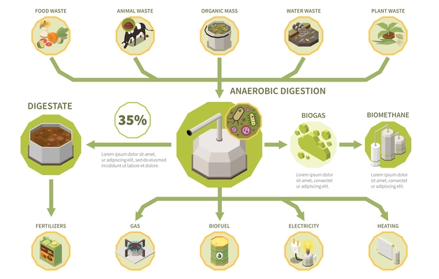 Biogas electricity production process isometric infographics with types of organic waste anaerobic digestion digestate 3d vector illustration