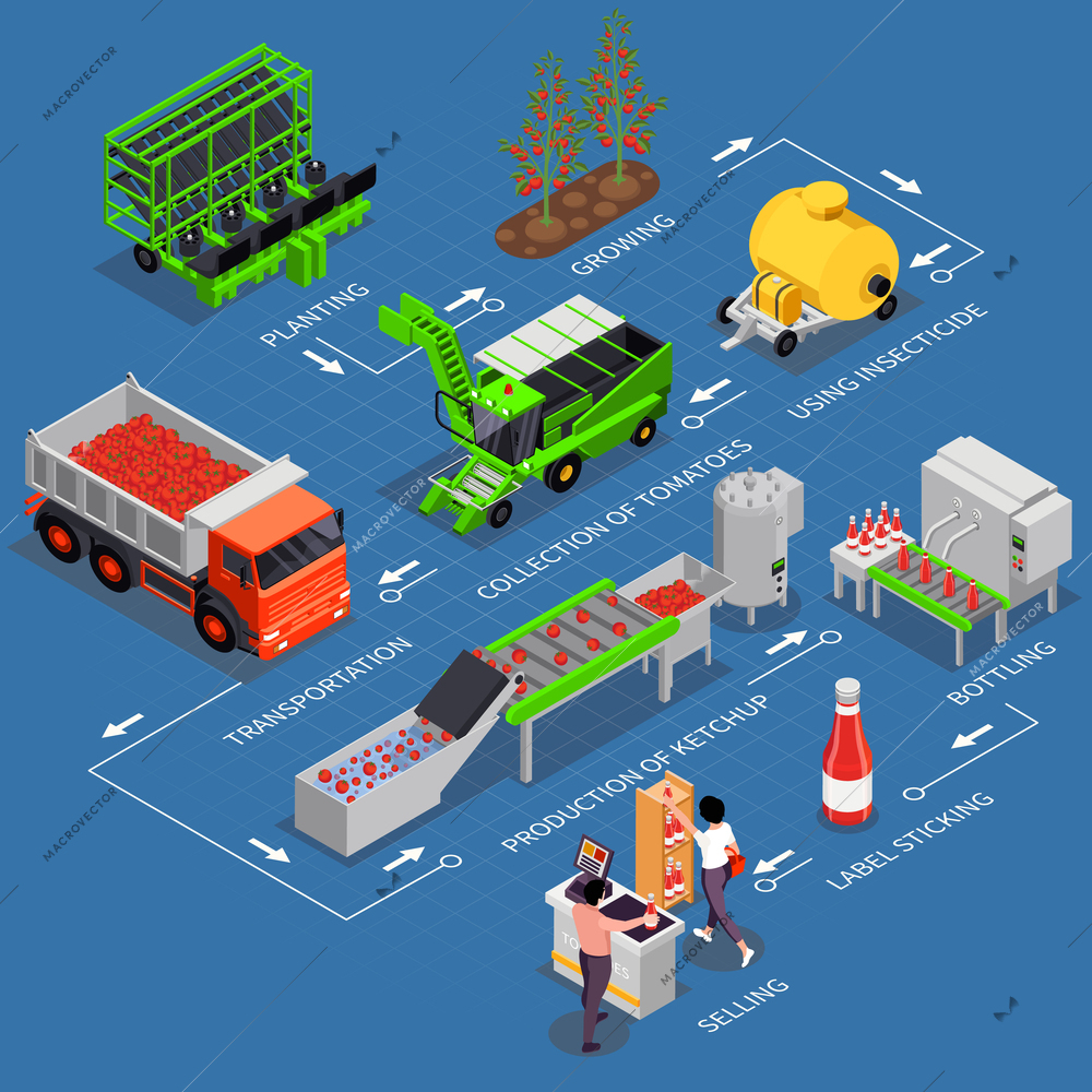 Tomatoes production isometric infographics with set of isolated icons of agricultural facilities in diagram with text vector illustration