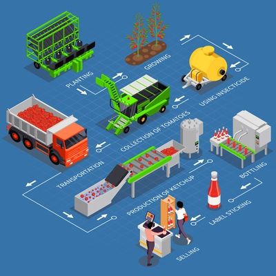 Tomatoes production isometric infographics with set of isolated icons of agricultural facilities in diagram with text vector illustration